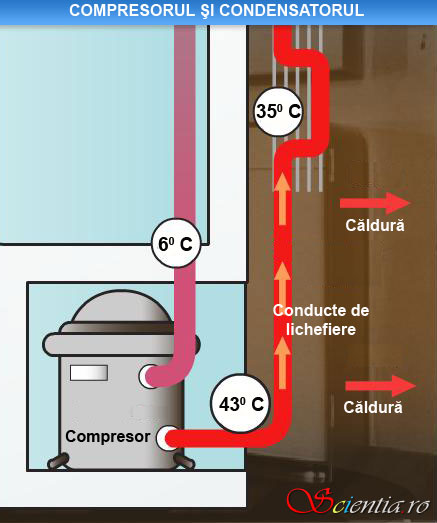Compresorul şi condensatorul unui frigider