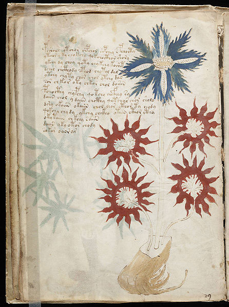 Manuscrisul Voynich