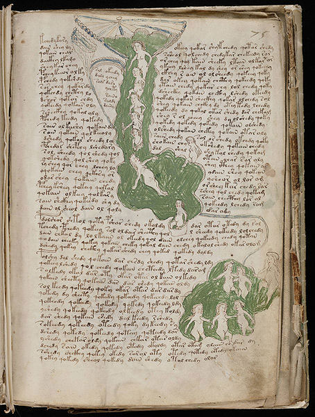 Manuscrisul Voynich