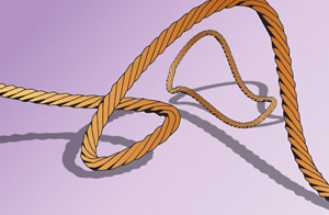 Teoria stringurilor Teoria stringurilor