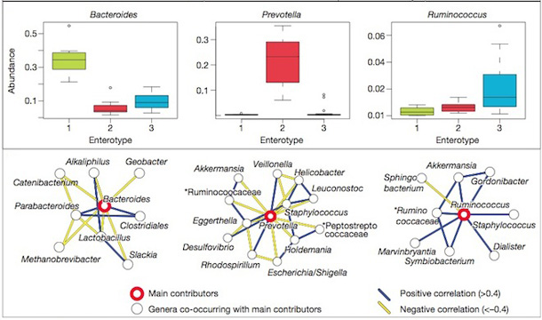 Enterotipuri bacteriene Enterotipuri bacteriene
