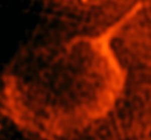 Rămăşiţe supernovă