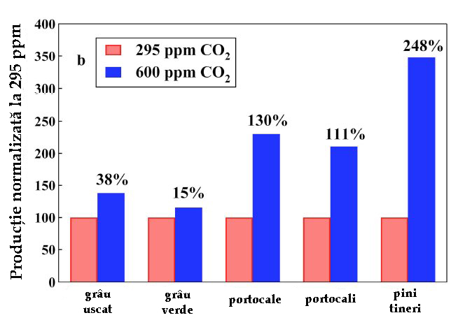 relatia dioxid de carbon vegetatie